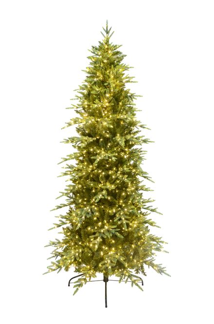 Hovedbilde Greenland fir Micro LED indoor